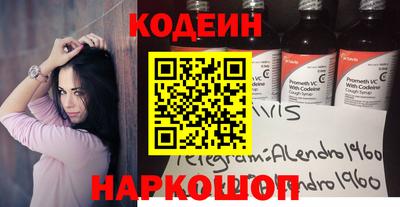 индика Можга