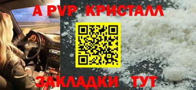 индика Можга