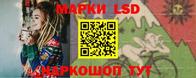 индика Можга