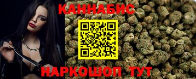 индика Можга
