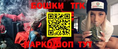 индика Можга