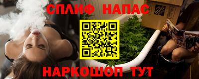 индика Можга