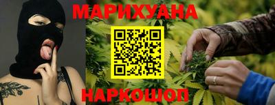 индика Можга