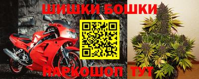 индика Можга