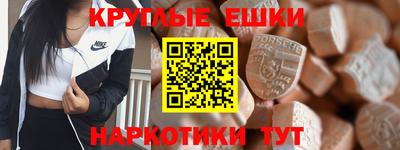 индика Можга