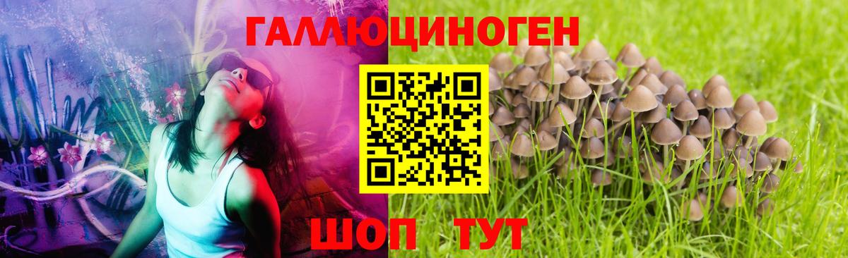 Псилоцибиновые грибы ЛСД Вятские Поляны