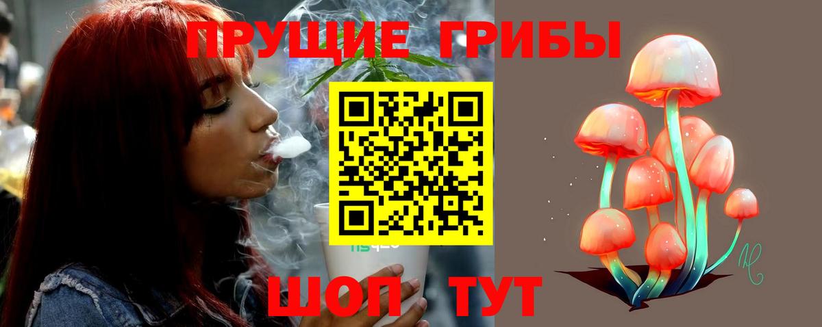 где купить наркоту  Вход с VPN  Псилоцибиновые грибы MAGIC MUSHROOMS  Вятские Поляны  Псилоцибиновые грибы мухоморы 
